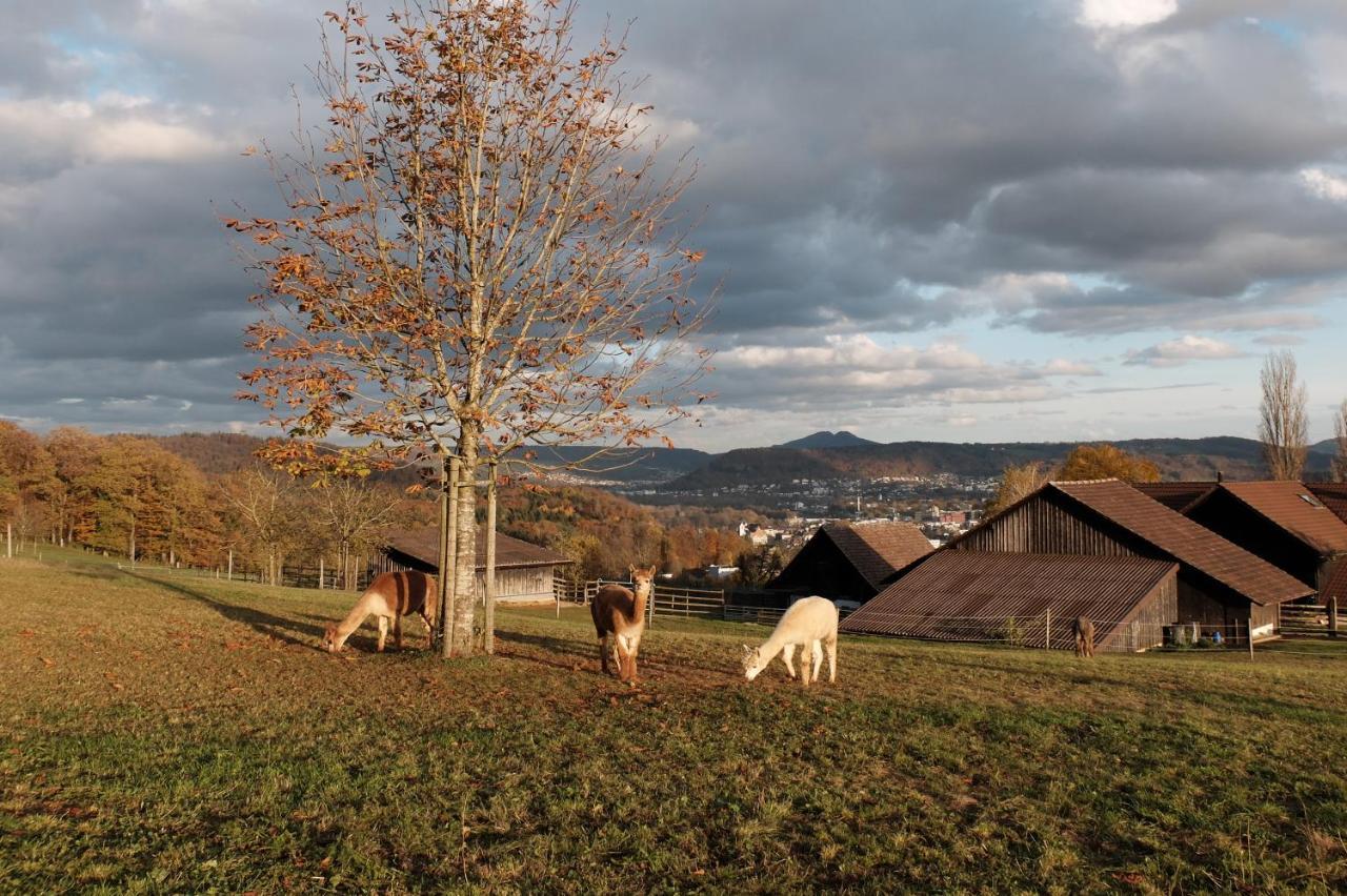 Prophetengut - die Perle im Jurapark Habsburg Exterior foto