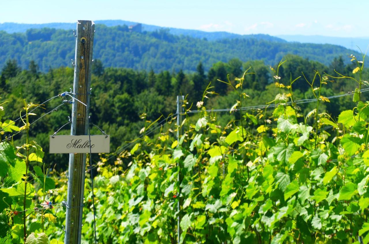 Prophetengut - die Perle im Jurapark Habsburg Exterior foto
